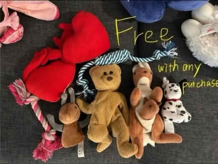 Photo of free stuffed animals (Near the dmv, at davis) #1