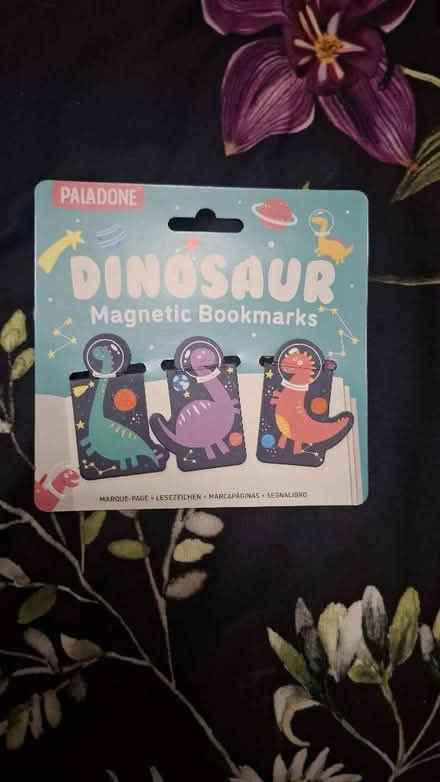 Photo of free Dinosaur magnetic bookmarks (Seaside BN22) #1
