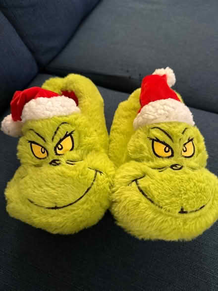 Photo of free Grinch slippers 5-6 (Edenbridge) #1