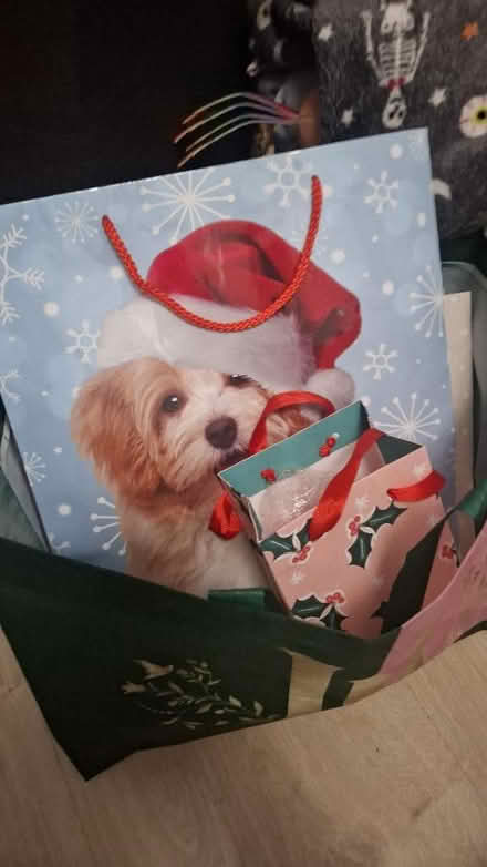 Photo of free Bag of Christmas gift bags and a box (Seaside BN22) #1