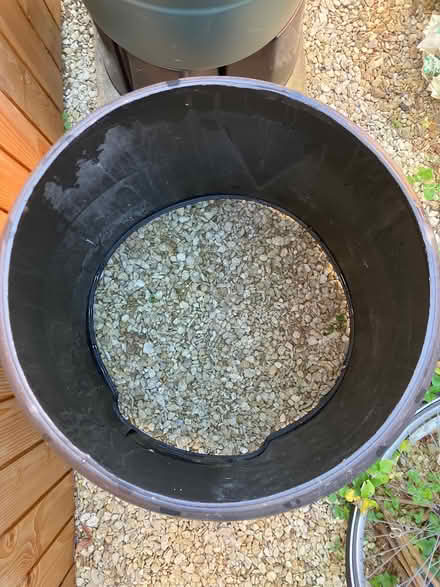 Photo of free Unused compost bin (Stroud GL5) #3
