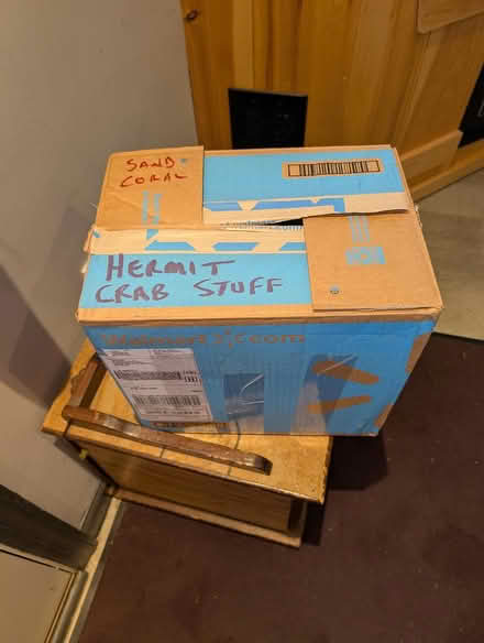 Photo of free Hermit Crab Supplies (40 Sheep Hill Rd, Fleetwood) #1