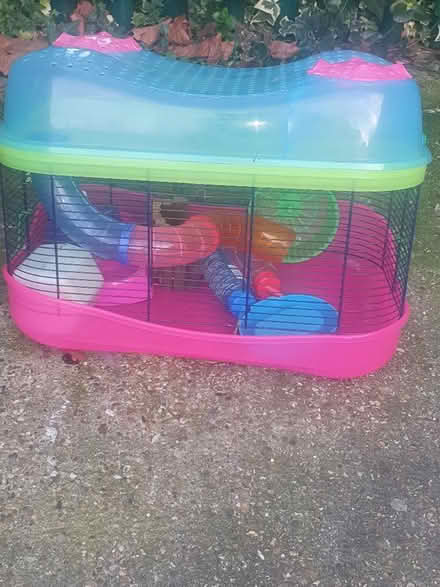Photo of free Rodent Cage (Cupids Green HP2) #1