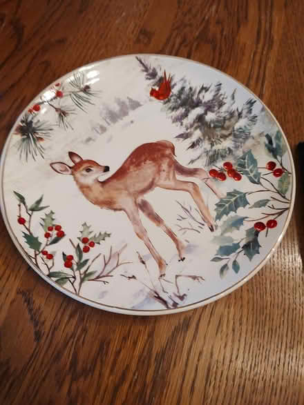 Photo of free 9 inch plate (Odenton) #1