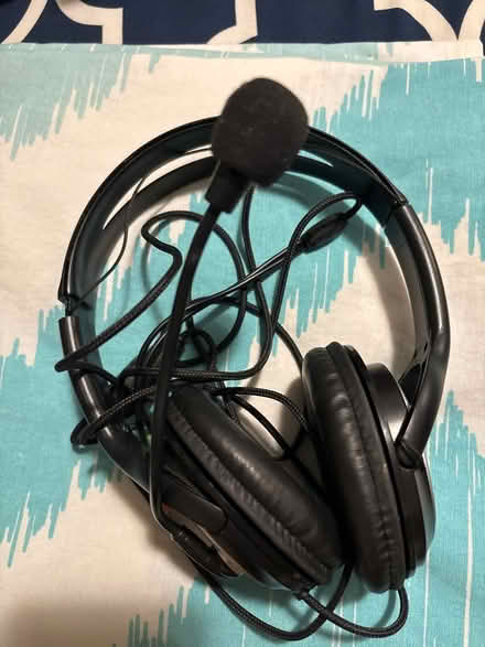 Photo of free Computer Headset (Churchill Meadows) #1