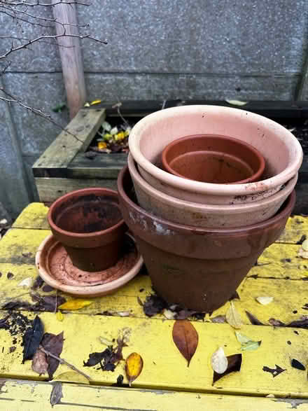 Photo of free Terracotta plantpots (Hulme M16) #1