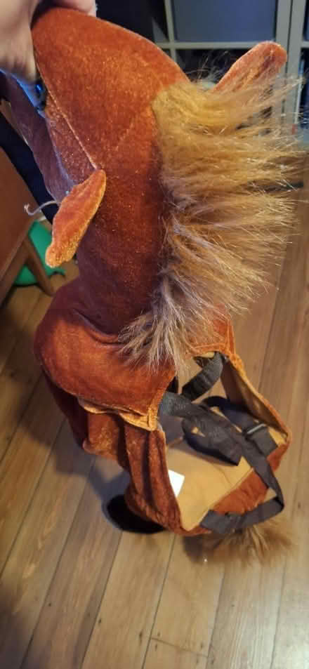 Photo of free Child's Horse costume (Berkhamsted HP4) #3