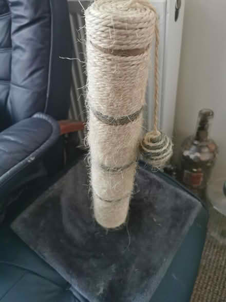 Photo of free Scratching post (Parkstone BH14) #1