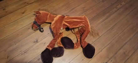 Photo of free Child's Horse costume (Berkhamsted HP4) #1