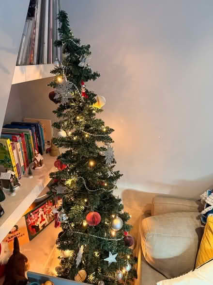 Photo of free Christmas Tree (Chiswick) #1