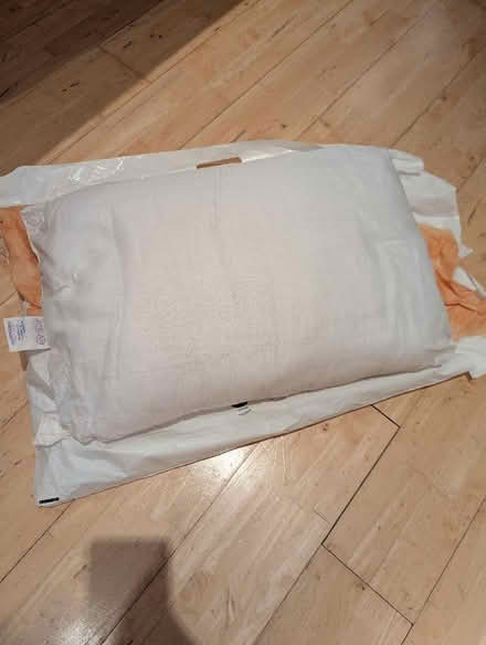 Photo of free Pillow (Ealing W5) #1