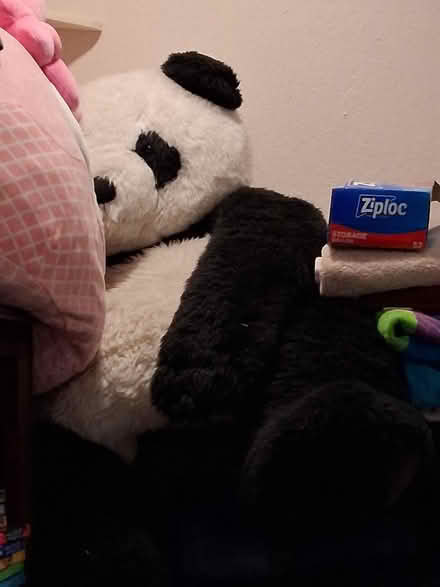 Photo of free Large Panda Plush (Sundale) #1