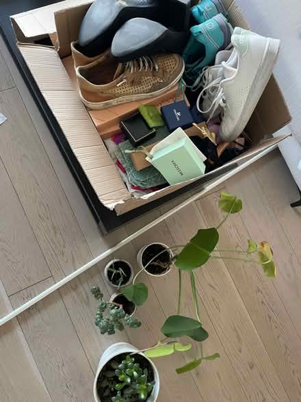 Photo of free Clear out items (Greenwich SE10) #1