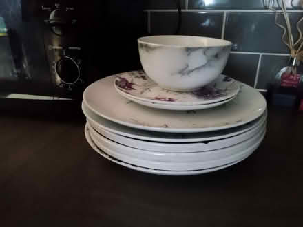 Photo of free Sippy cups and floral dinner plate set (Tarvin CH3) #2