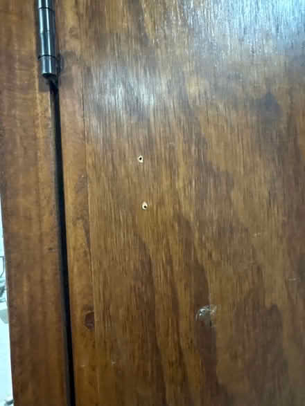 Photo of free Custom built shelving unit (Washington DC) #3