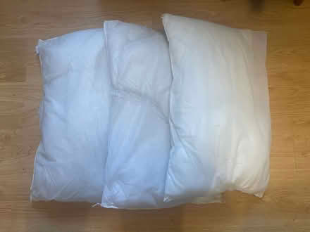 Photo of free Pillows (Islington N1) #1