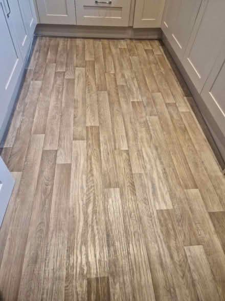 Photo of free Light Oak Lino (WF43BD) #2