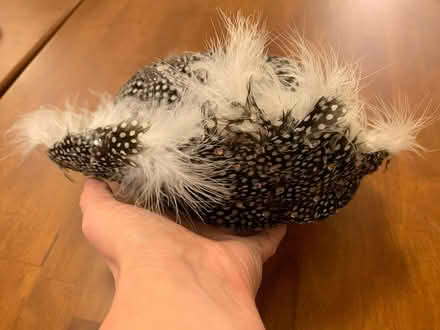 Photo of free Wool felt hat with feathers (Ponderosa Park Area) #3