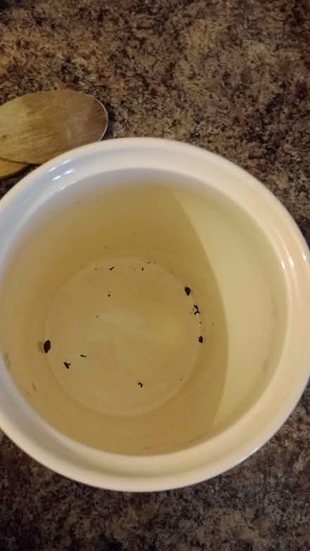 Photo of free Born to Shop canister - NO lid (Dogsthorpe) #3