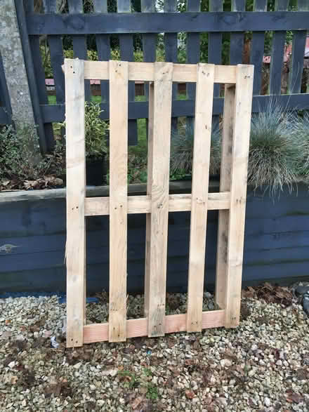 Photo of free Wood pallet (Handbridge CH4) #1