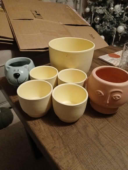 Photo of free Assorted plant pots (Rowner PO13) #1