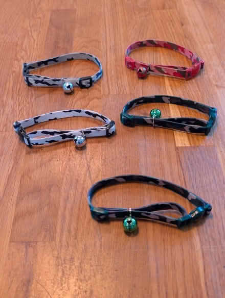 Photo of free 5 cat collars with bells (Berkhamsted HP4) #1