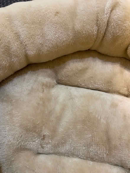 Photo of free Cat bed (Jennett's Park RG12) #2