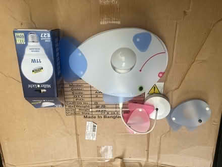 Photo of free Fish ceiling light. (Killinghall HG3) #1