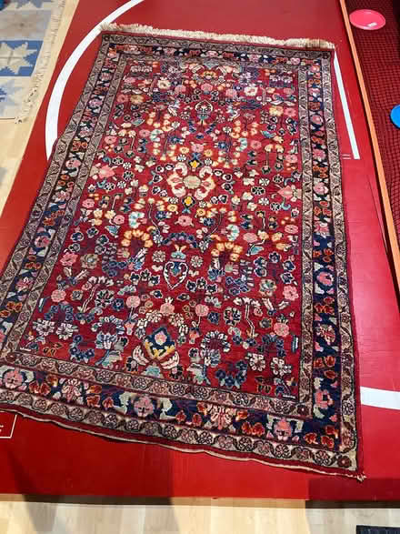 Photo of free Rug 52”x85” (Nepean) #1