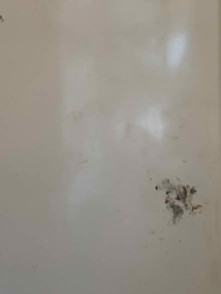 Photo of free Fridge Freezer Bosch (Northwood HA6) #2