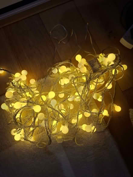 Photo of free String of lights (Radbrook Green SY3) #2