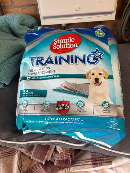 Photo of free Puppy training pads (Wollaton NG8) #1