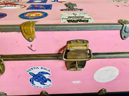 Photo of free Pink kids trunk (SW) #2