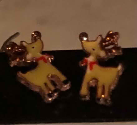 Photo of free Earrings (N19 archway) #1