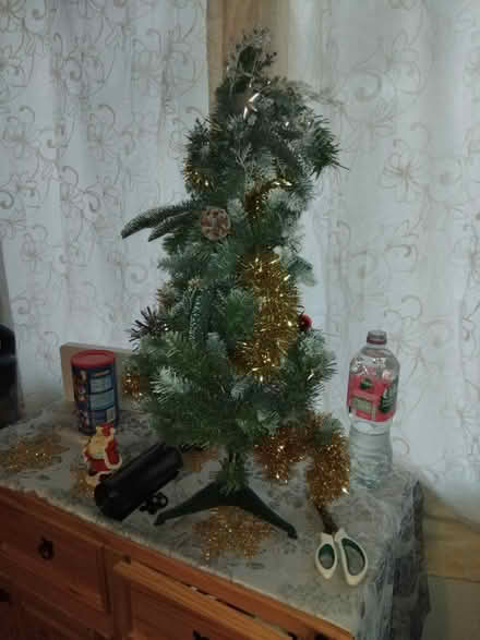Photo of free Christmas Tree (Poole BH17) #1