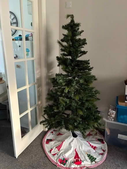 Photo of free Christmas trees x 2 (Penwortham PR1) #1