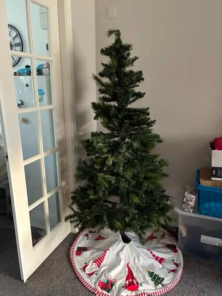 Photo of free Christmas trees x 2 (Penwortham PR1) #2