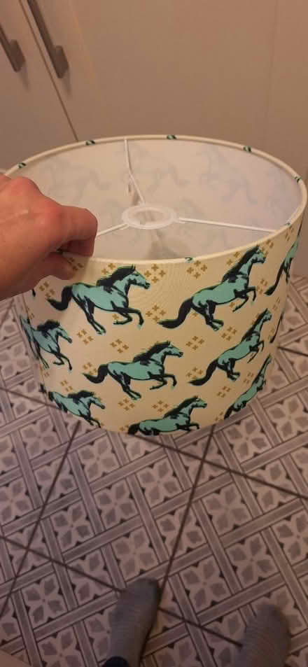 Photo of free Horse themed ceiling lampshade (Berkhamsted HP4) #1