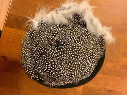 Photo of free Wool felt hat with feathers (Ponderosa Park Area) #2