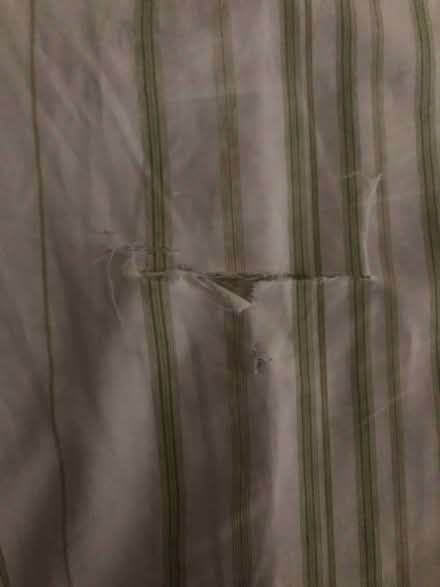 Photo of free King size bedsheet with a rip (N19 archway) #1