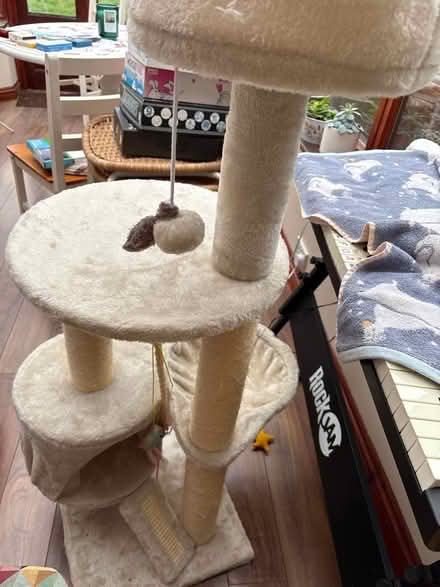 Photo of free Cat scratching post (Purwell SG4) #2