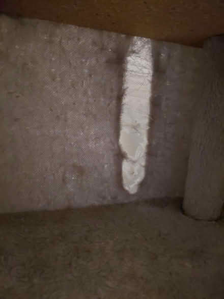 Photo of free Cat tower (RG213AD) #3