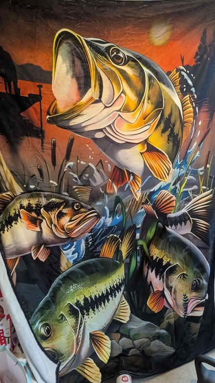 Photo of free Soft blankets with fish designs (Malvern Link WR14) #1