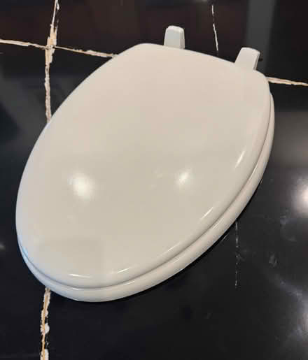 Photo of free Toilet Seat (IH-10 @ Fair Oaks Parkway) #1
