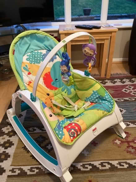 Photo of free Fisher-Price Infant-to-Toddler Rocker. (Buckingham MK18) #1