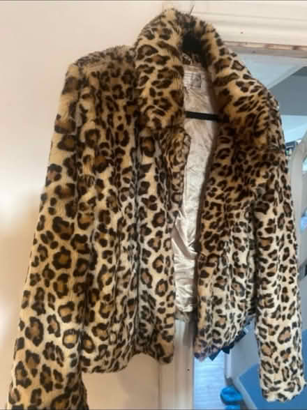 Photo of free Animal print Jacket & Coat (Cheshunt En8) #3