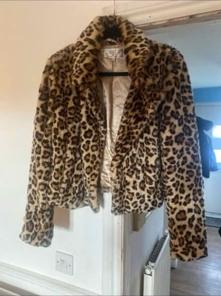 Photo of free Animal print Jacket & Coat (Cheshunt En8) #1