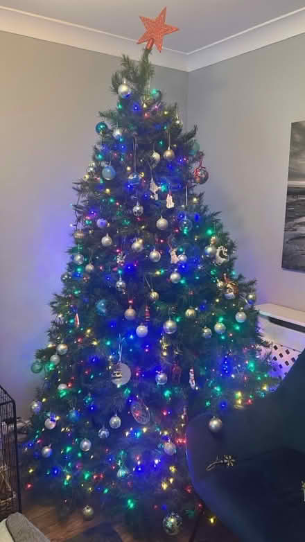 Photo of free 8ft Christmas Tree (Bedford MK41) #1