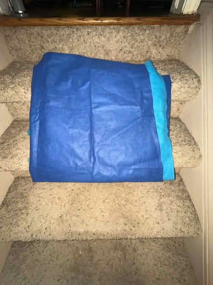 Photo of free Neat sheet (Royal Oak, MI) #2