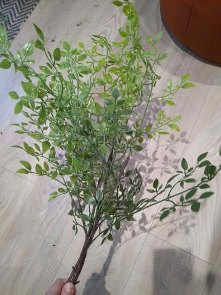 Photo of free Faux flowers (Bromham MK43) #1